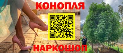 каннабис Нальчик